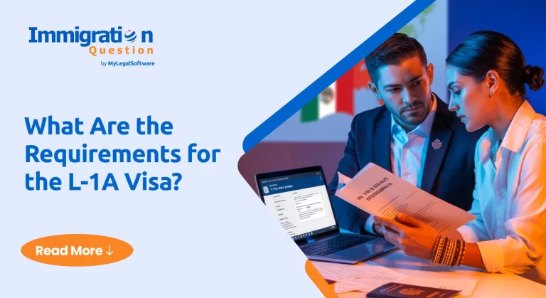 What Are the Requirements for the L-1A Visa?