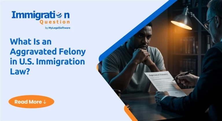 What is an aggravated felony under U.S. immigration law?