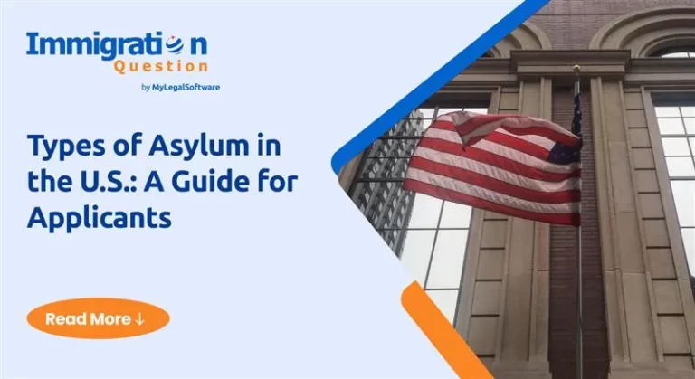 types of asylum