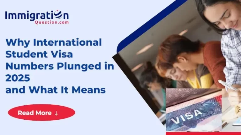 international student visa drop 2025