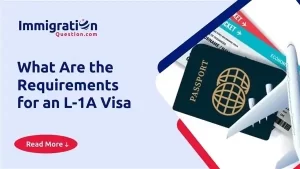 What Are the Requirements for an L-1A Visa 