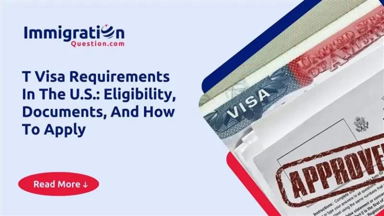 t visa in the U.S